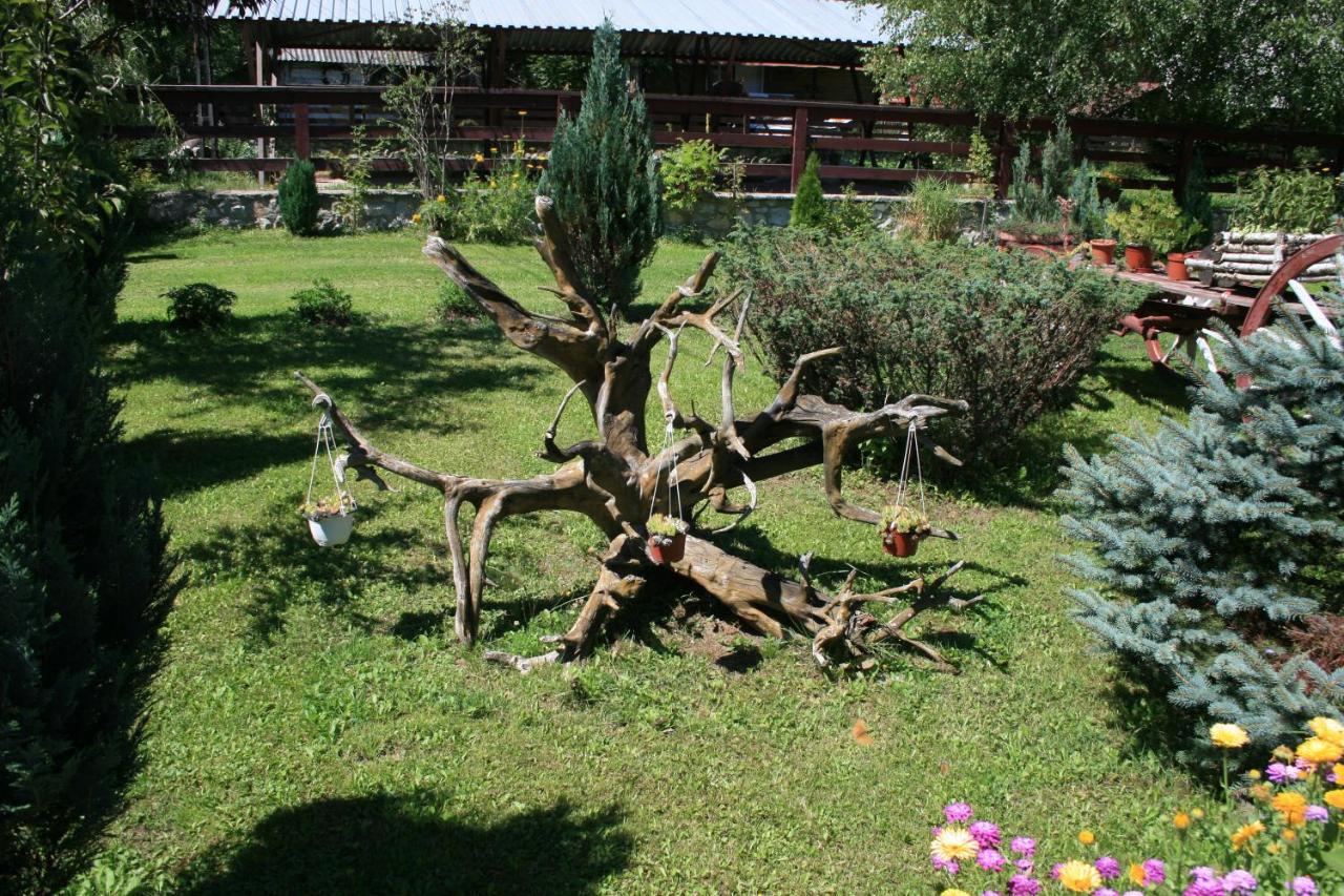 Casa Dobra Hotel Arieşeni Exterior foto