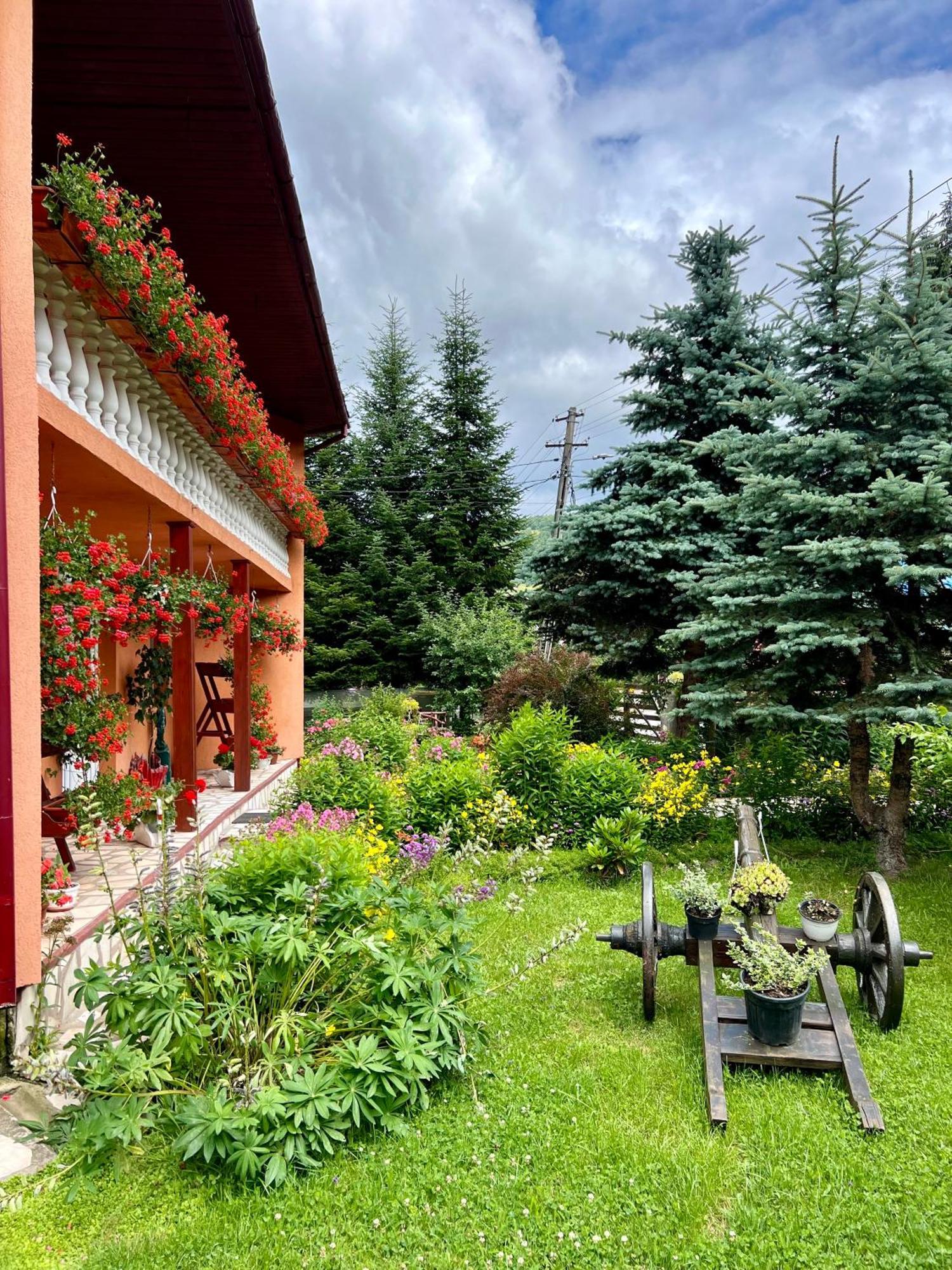 Casa Dobra Hotel Arieşeni Exterior foto