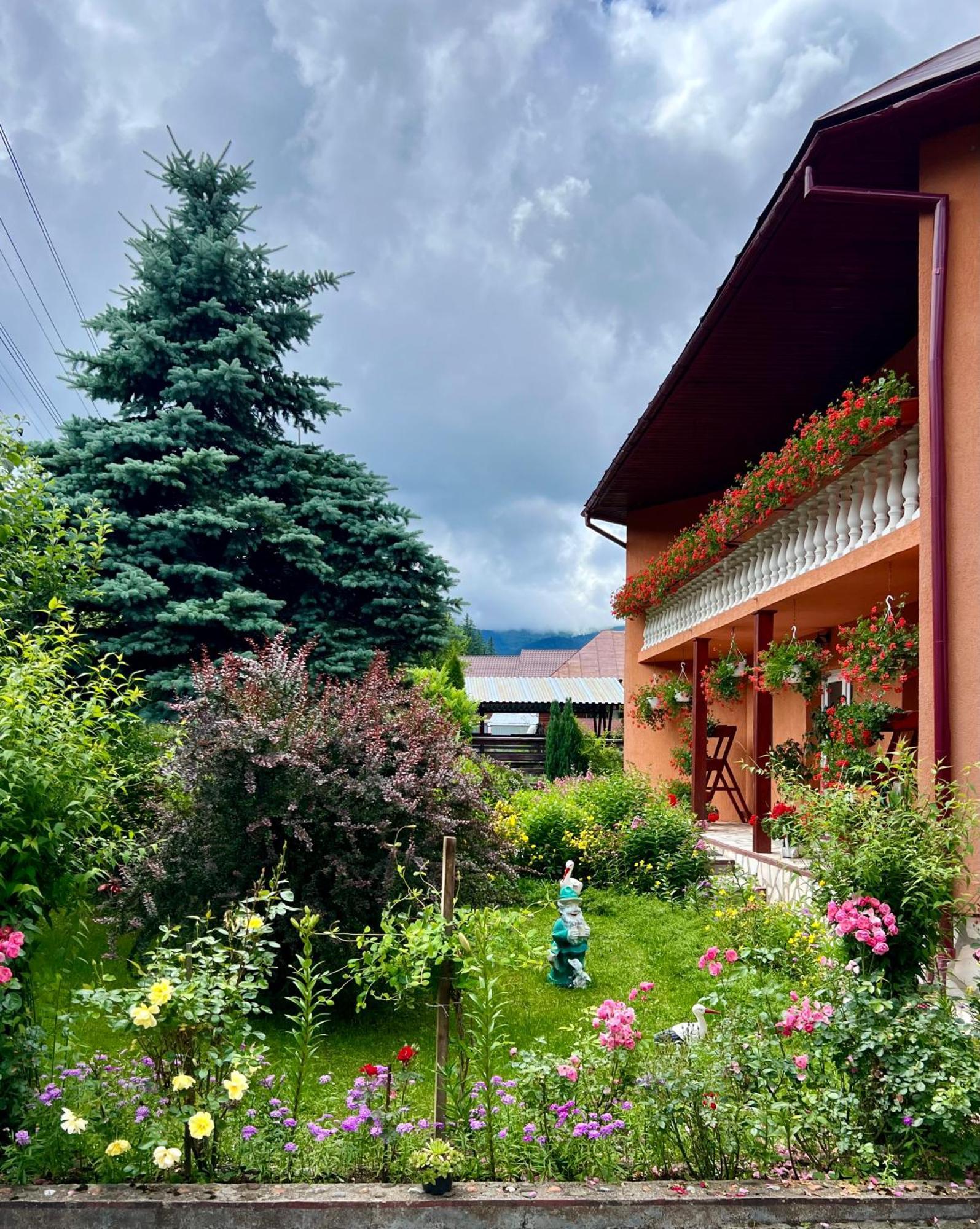 Casa Dobra Hotel Arieşeni Exterior foto