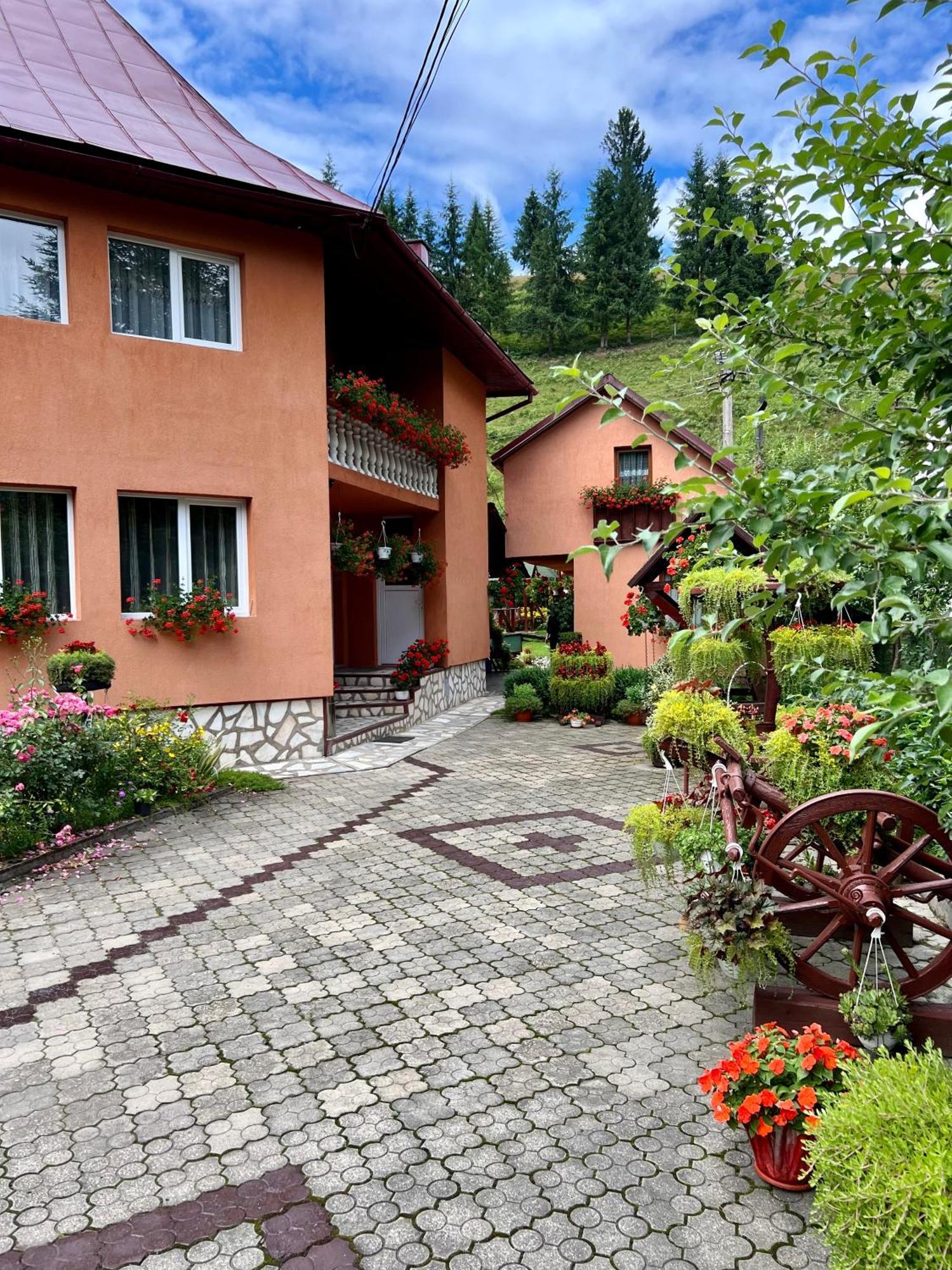 Casa Dobra Hotel Arieşeni Exterior foto